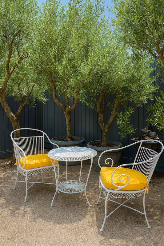 French style wrought iron outdoor setting with new custom cushions